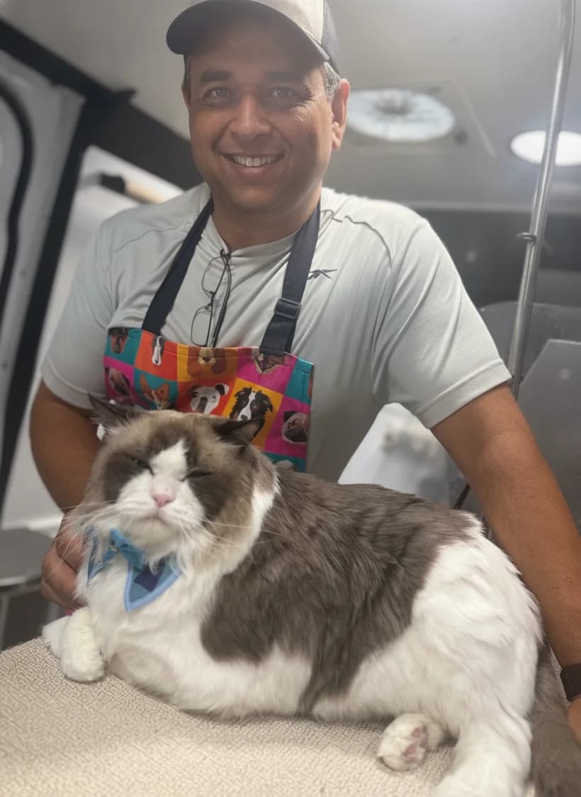 Glow Groom groomer smiling while holding a freshly groomed Ragdoll cat inside the mobile grooming van