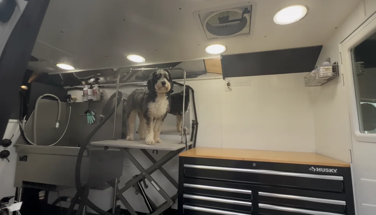 Clean, professional interior of the Glow Groom mobile grooming van with a dog on the grooming table, bathing tub and tools